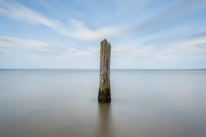 Lone Piling