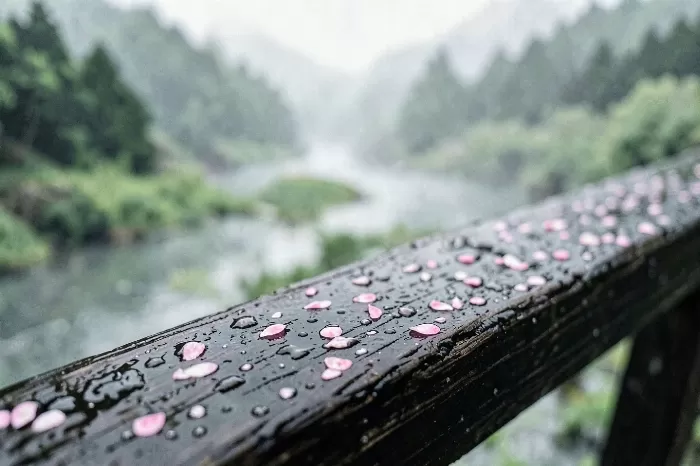 Bridge Petals