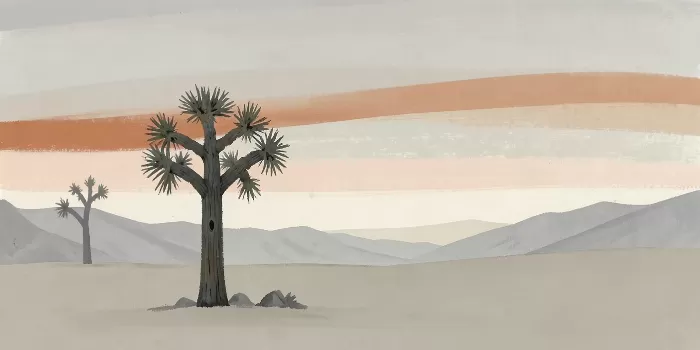 Mojave Hush