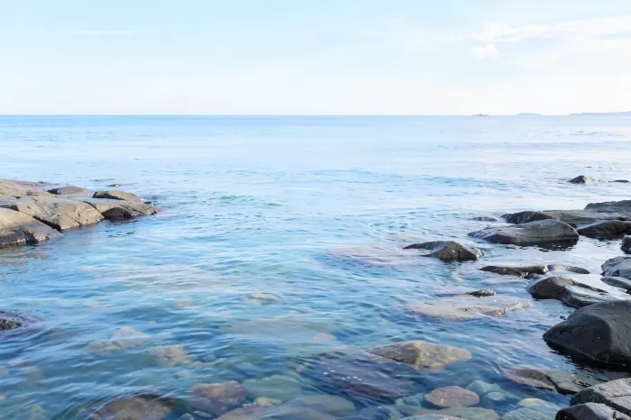 Scandinavian Shore