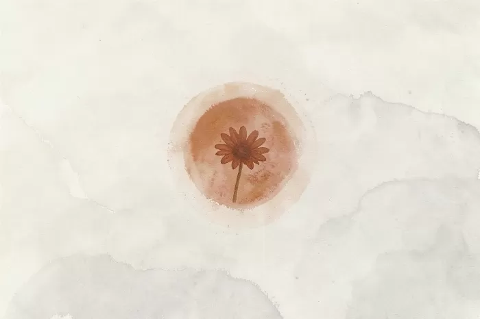 Quiet Daisy