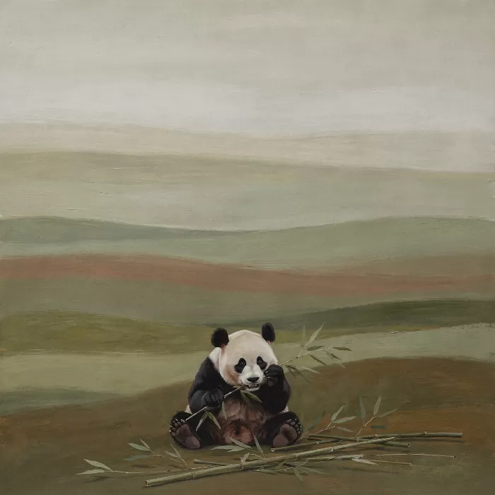 Panda Haven