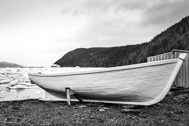 White Wash - Newfoundland art print