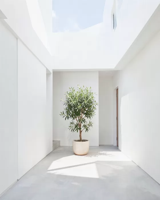 White Geometry