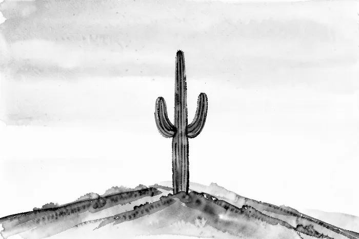 Saguaro Ridge