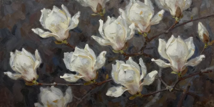 Umber Magnolia