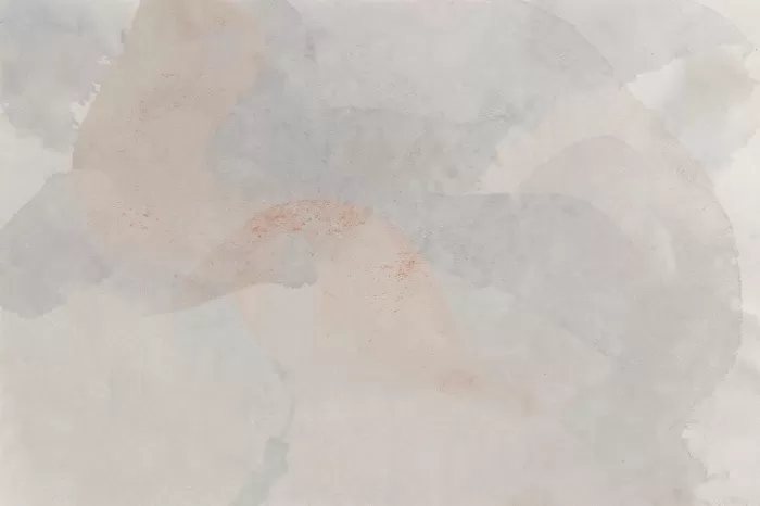 Rust Whisper