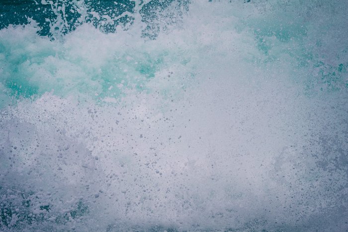 Splash - Newfoundland art print