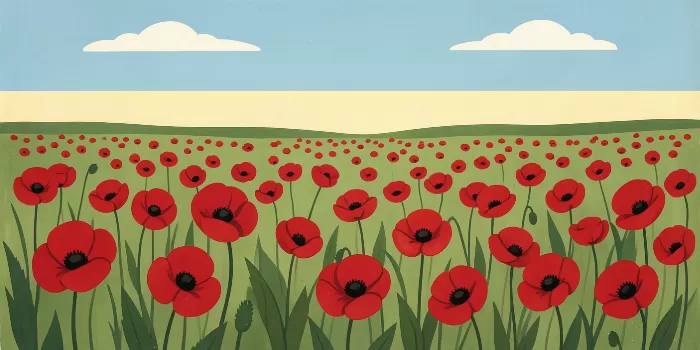 Summer Poppies