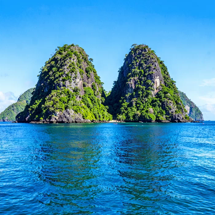 Caribbean Majesty