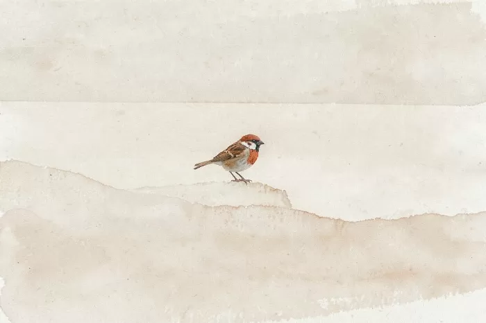 Rust Sparrow