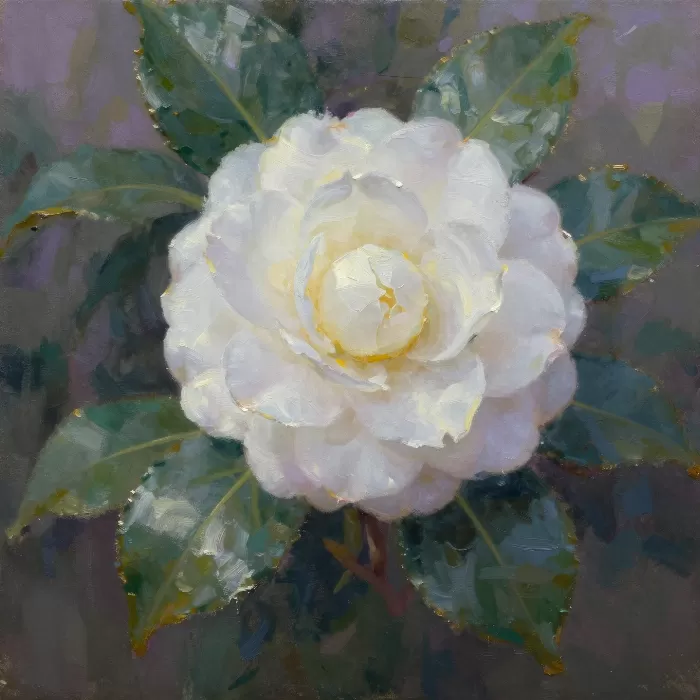 Morning Camellia