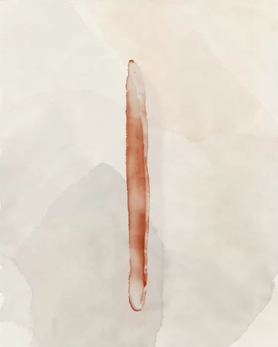 Bone Layers