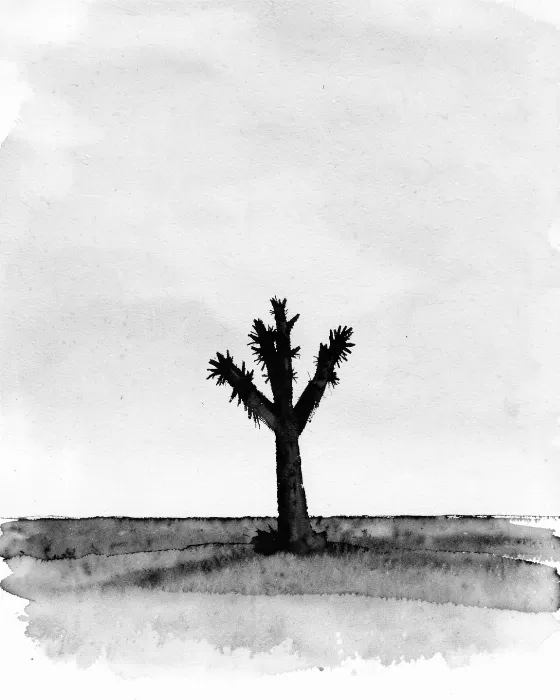 Joshua Silhouette