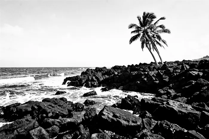 Molten Shore
