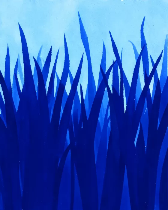 Sapphire Field