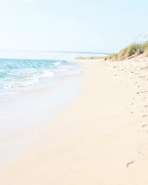 Gentle Surf