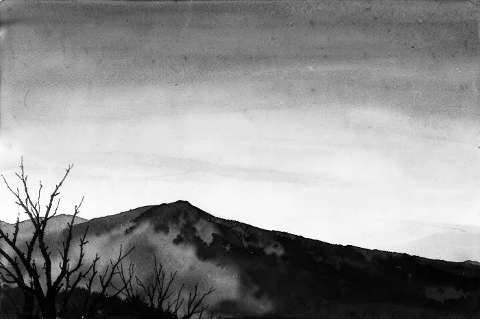 Ocotillo Silence