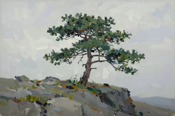 Pine And Sky