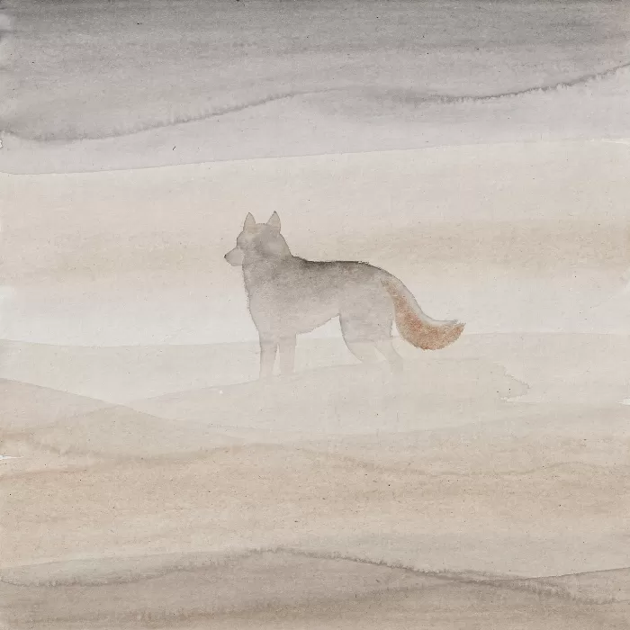 Husky Wash