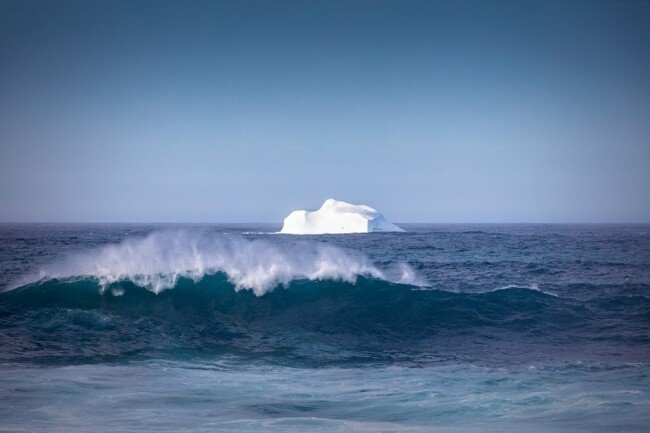 Iceberg Rush - Newfoundland art print