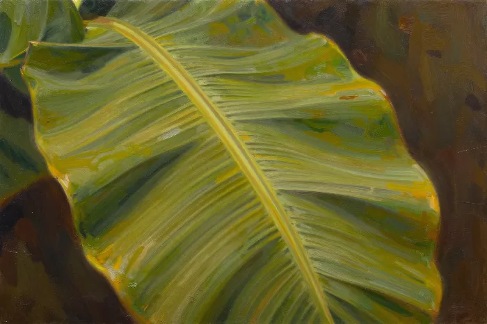 Banana Leaf