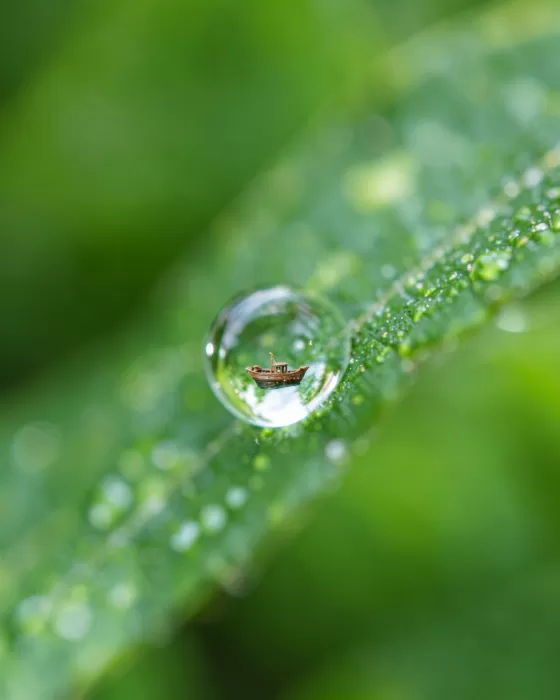 Dewdrop Vessel