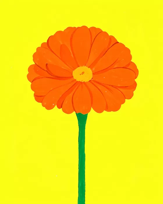 Folk Marigold