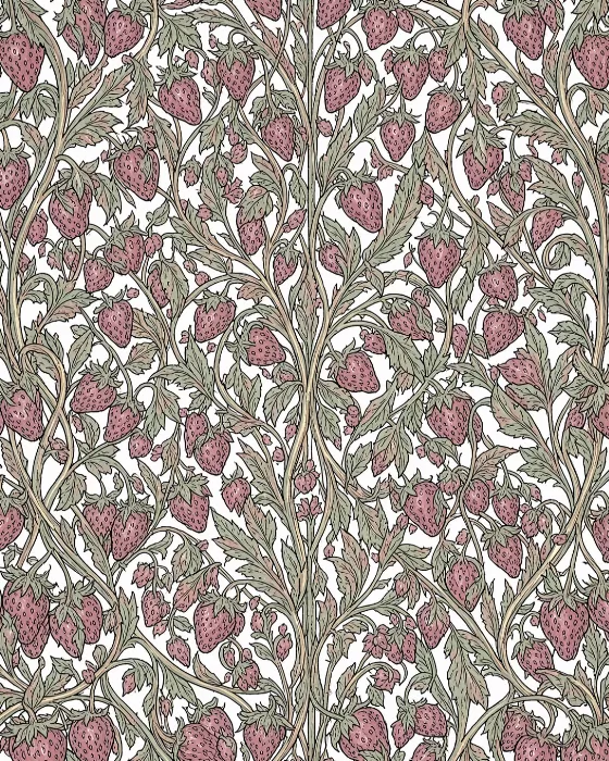 Strawberry Vines