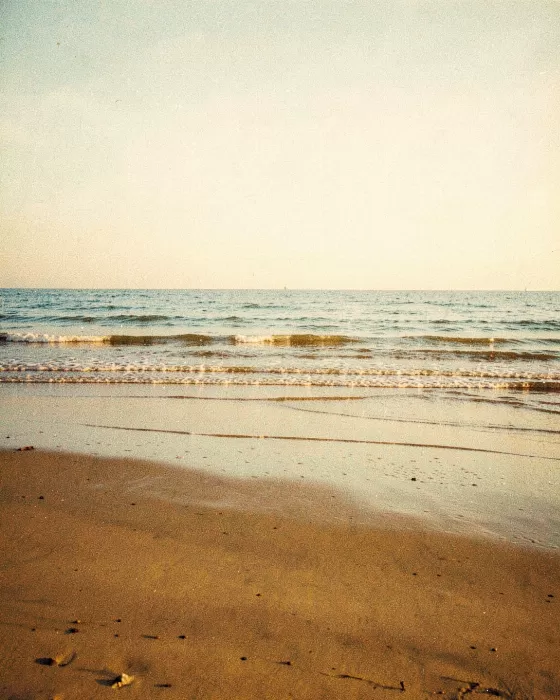 Delaware Shoreline