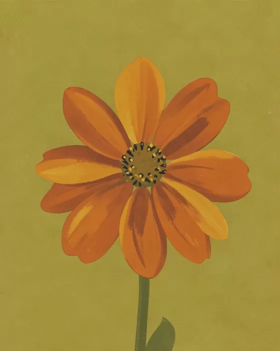 Retro Cosmos