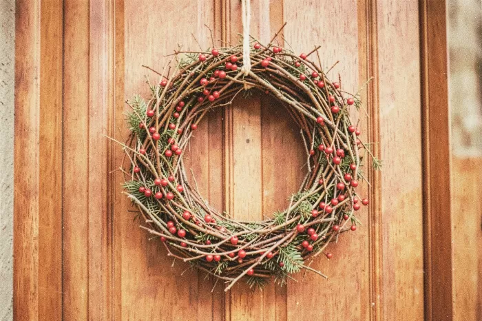 Winter Door