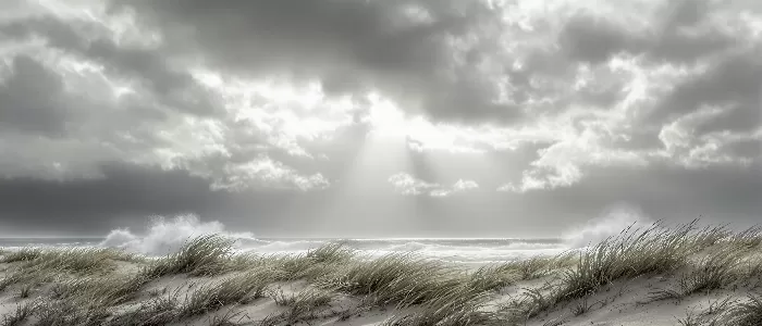 Storm Light
