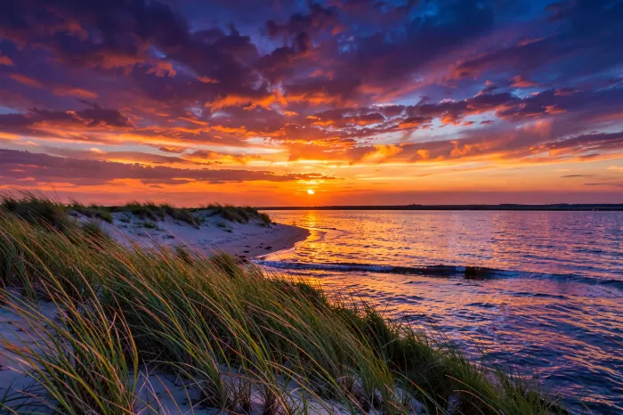 Dune Sunset