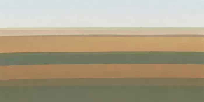 Layered Fields