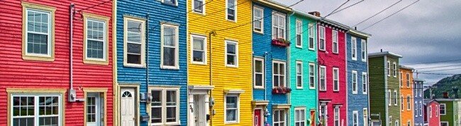 Jellybean Dozen - Newfoundland art print