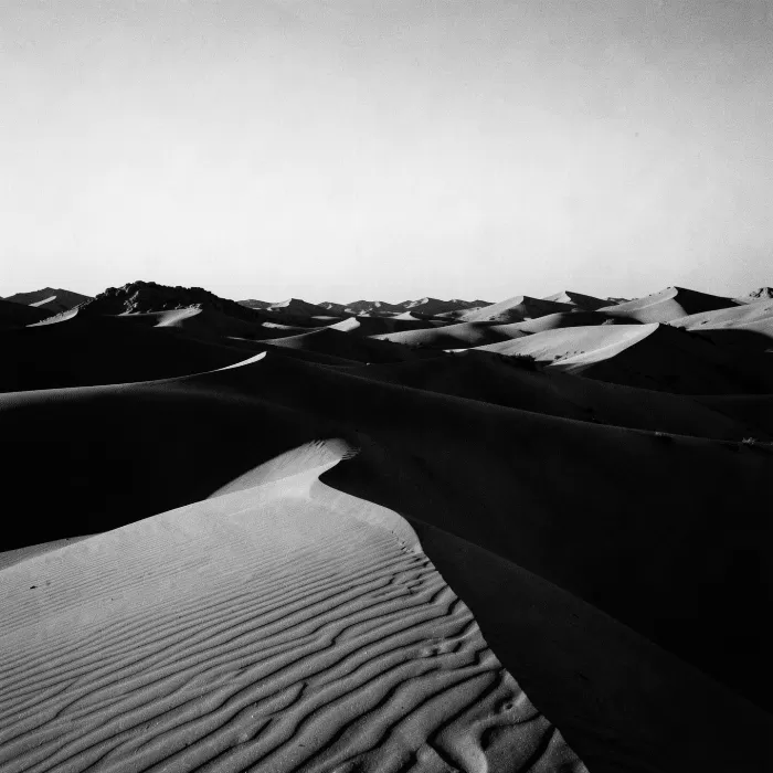 Sand Shadow
