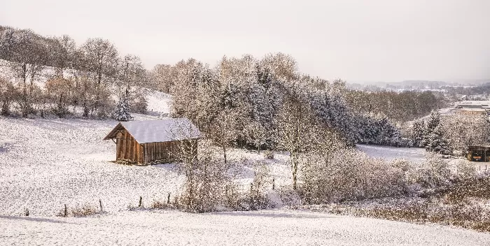 The Snow Shack