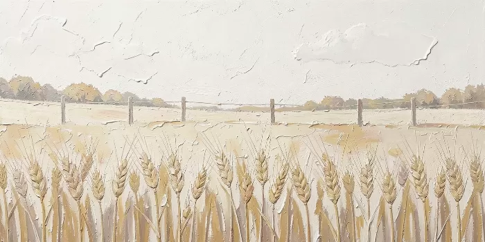 Tactile Fields