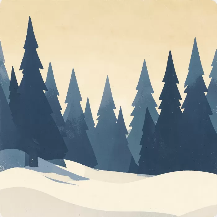 Sunrise Forest