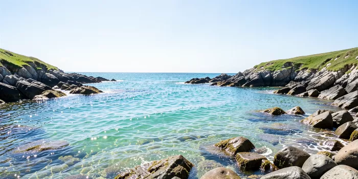Summer Cove