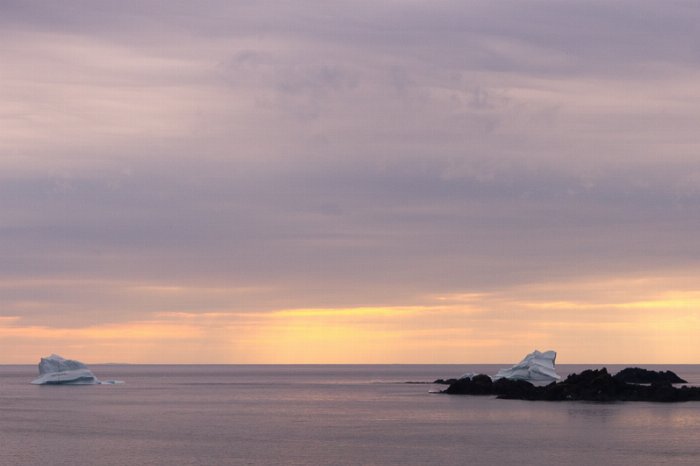 Ice Aground II - Newfoundland art print