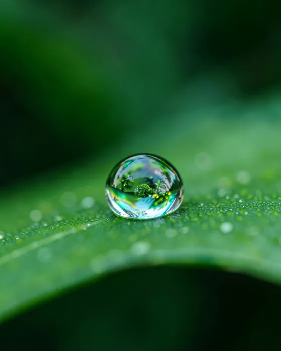 Emerald Drop