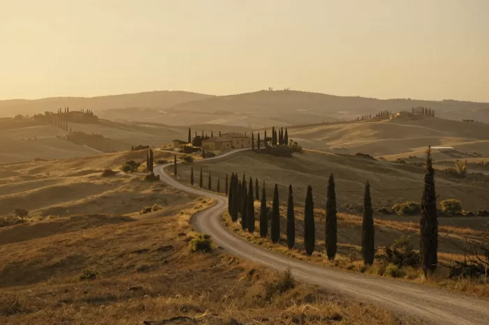 Tuscan Gold II
