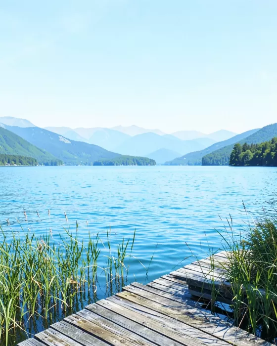 Lakeside Reeds