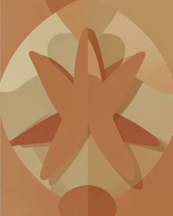 Star Reach