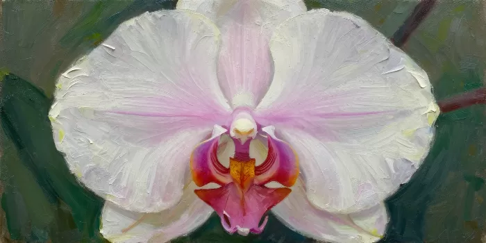 Orchid Impasto