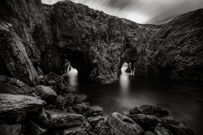 Dungeon & Dragon - Newfoundland art print