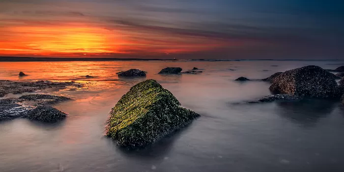 nature in sunset