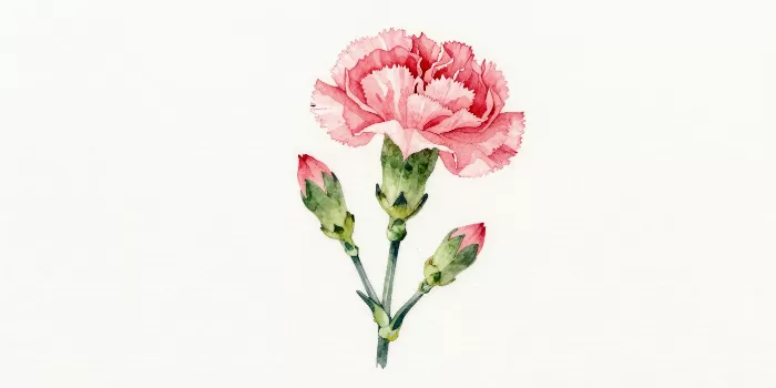 Ruffled Bloom